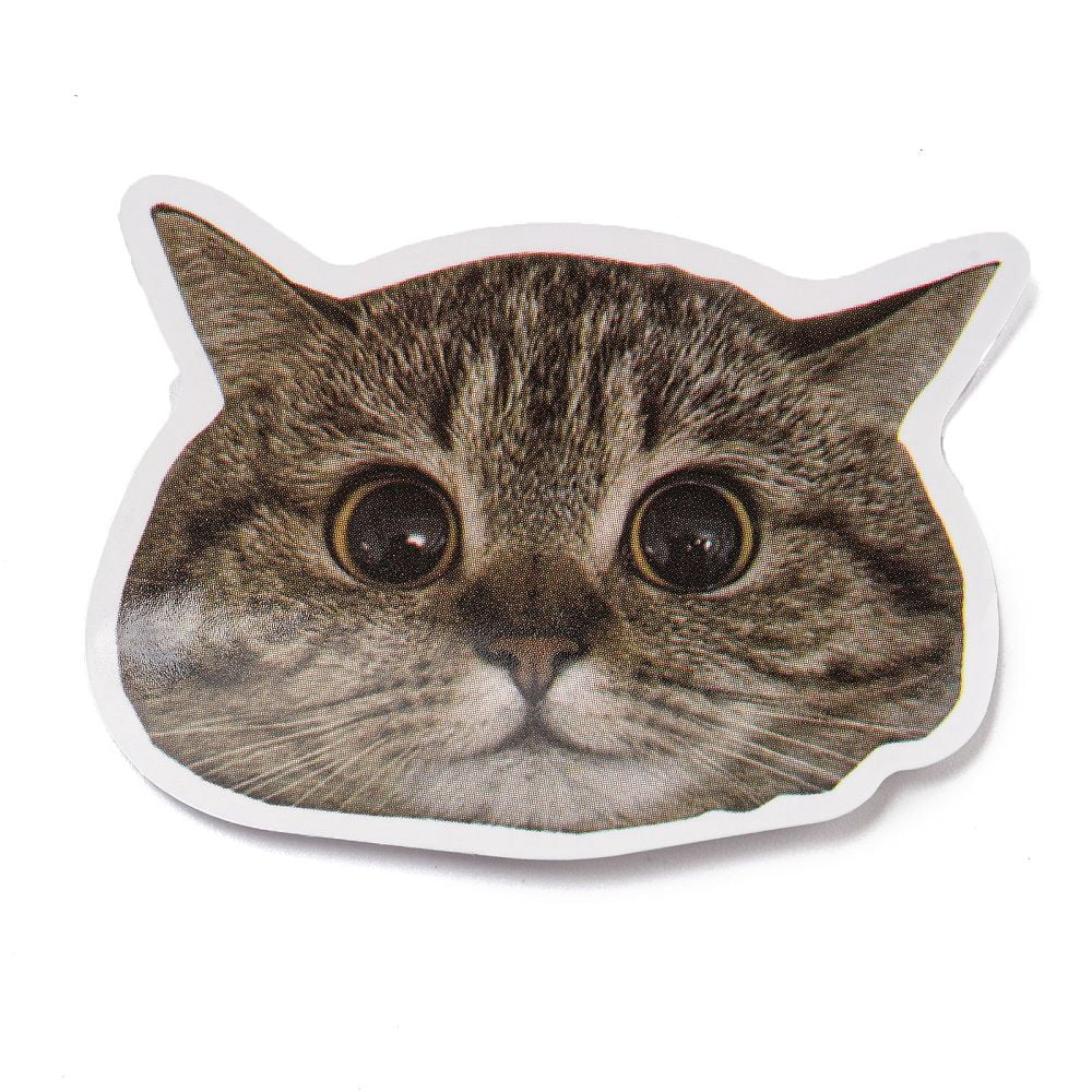 10bags 50 Sheets Paper Cat Stickers Mixed color 32~61x40~60x0.2mm 50 sheets/bag