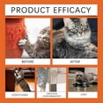 thumbnail image 2 of Spray disuasorio para gatos, spray antiarañazos natural para gatos, sin estimulación, fragancia de naranja, protectores de muebles para sofá, 1 unidad, 2 of 5