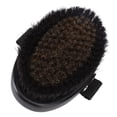 thumbnail image 1 of Brosse Corporelle Sèche, Brossage à Sec Confortable pour Pré-Bain, 1 of 7
