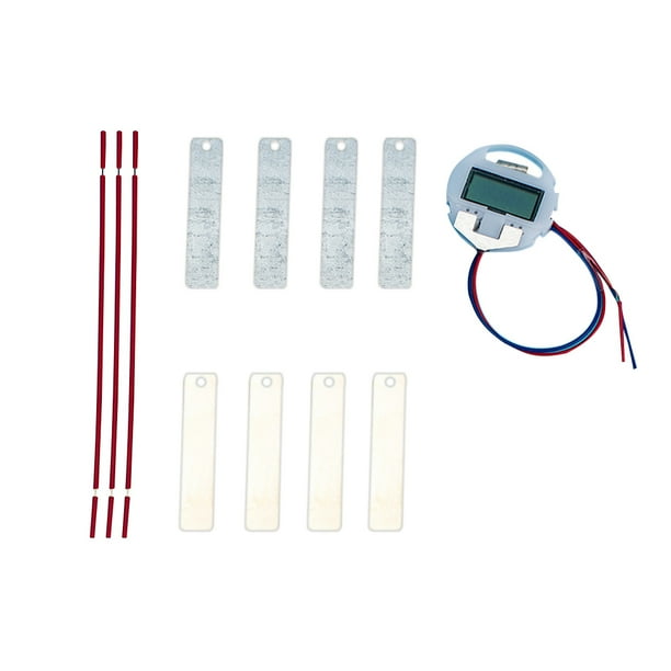 Experimento Científico Bricolaje Kits Generador Frutas Juguete Enseñanza Física para