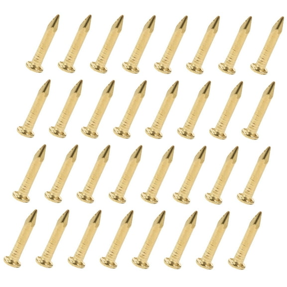 Pawsdot 200Pcs Golden Brass Nails for Furniture Use Durable Fastening for Hinges and Decorative Projects