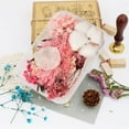 thumbnail image 4 of 2Box Dried Flowers for Resin Jewelry molds for DIY Crafts Nail Art Candle Soap Making Phone Case Jewelry Pendant Floral Decorsstyle:style4;, 4 of 5