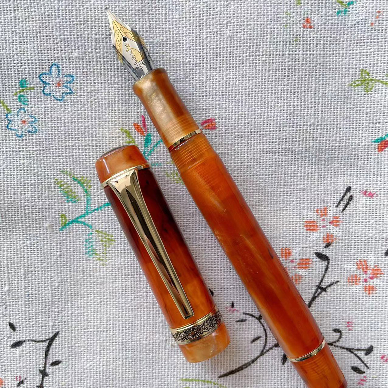 Elegant Fountain Pen Pen Consistent Writing for Men & Women,Professional, Executive, Office, Nice Pens