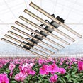 thumbnail image 2 of Lámpara de cultivo LED Phytolamp 6Bar 8Bar 10Bar 12Bar Quantum tech de última generación con control independiente y espectro completo UV/IR para plantas de interior, 2 of 5
