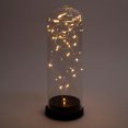 thumbnail image 1 of Truu Design Beautiful and Elegant LED Bell Jar Lights, 1 of 4