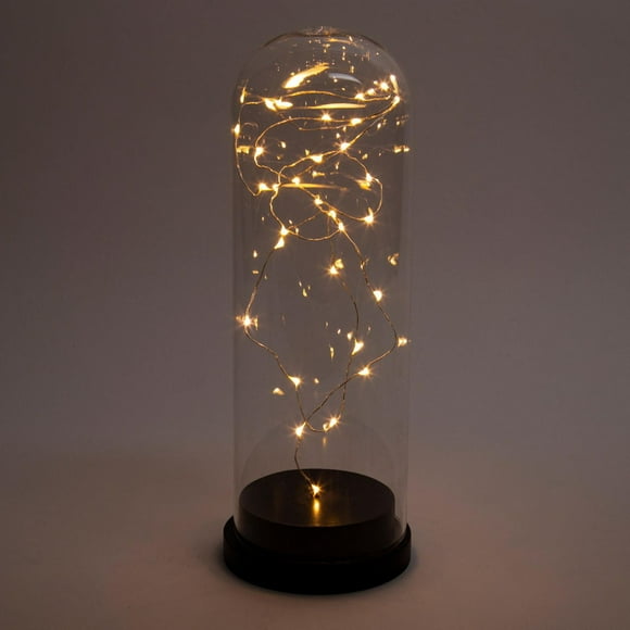 Truu Design Beautiful and Elegant LED Bell Jar Lights