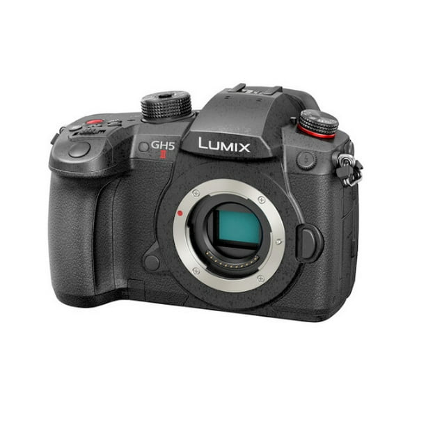 geur breng de actie oor Panasonic LUMIX GH5M2, 20.3MP Mirrorless Micro Four Thirds Camera with Live  Streaming, 4K 4:2:2 10-Bit Video, Unlimited Video Recording, 5-Axis Image  Stabilizer DC-GH5M2 - Walmart.com