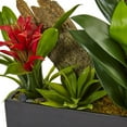 thumbnail image 2 of Dendrobium and Bromeliad Arrangement, 2 of 2