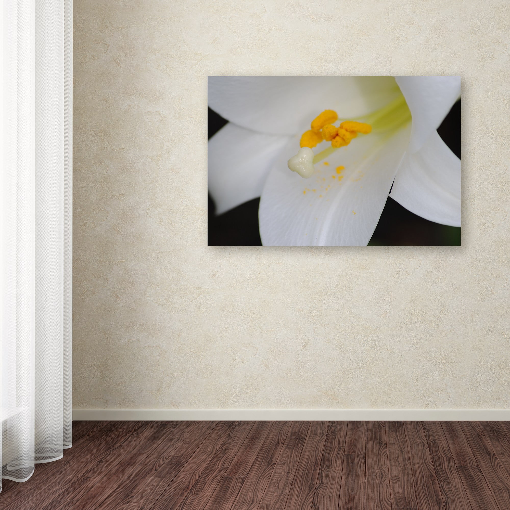 Trademark Fine Art "One Word" Canvas Art by Monica Mize