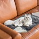 thumbnail image 5 of RKSTN Pampering pads Fleece Pet Mat Winter Dog Mat Warm Thickened Cats Sleeping Mat Blanket Cats Litter Pet Dog Litter Warming, 5 of 6