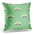 thumbnail image 1 of EREHome Housse de Coussin Motif Raton Laveur Animal Coloré en Graphiques Plats sur Forêt Verte 18x18 Pouces, 1 of 1