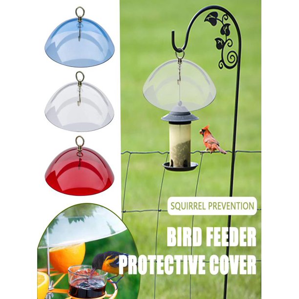 QWANG 10" Mini Weather Guard for Bird Feeder Small Protective Dome