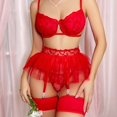 thumbnail image 2 of Aayomet Women Lingerie Sets I Lace Patchwork Fun Lingerie Set (Red, S), 2 of 5