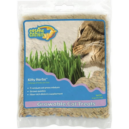 - Ourpets Company-Cosmic Catnip Kitty Herbs Growable Cat Treats- Herbs 4 Ounce