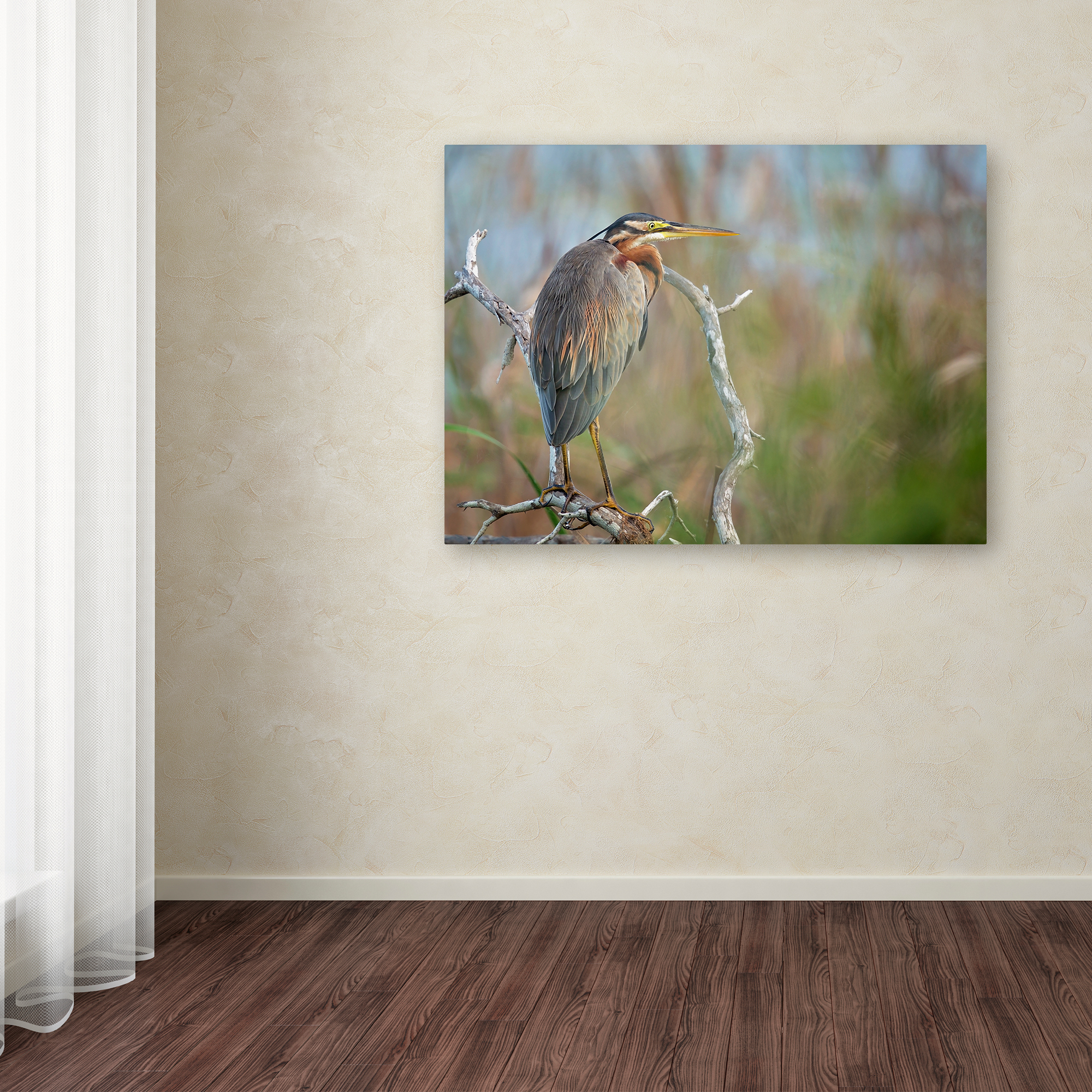 Milan Zygmunt 'Purple Heron' Canvas Art
