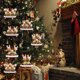 thumbnail image 1 of Adorno familiar personalizado para árbol de Navidad, lindo ciervo, vacaciones, regalo de invierno, año, adorno familiar duradero Wmkox8yii gf11681, 1 of 9