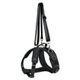 thumbnail image 5 of Convenient Dog Slings All Size Dogs Front Rear Leg Support Lift Harness for Injured Elderly Dog Disabled Pet Supply, 5 of 7