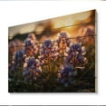 thumbnail image 2 of Designart "Blue Bonnets landscape Photo III" Floral Print on Natural Pine Wood, 2 of 5