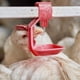 thumbnail image 3 of 20 bebederos para aves de corral, bebederos para pollos, bebederos calentados, bebederos de tetina para pollos, bebederos de tetina para pollos, bebederos automáticos para pollos, 3 of 7