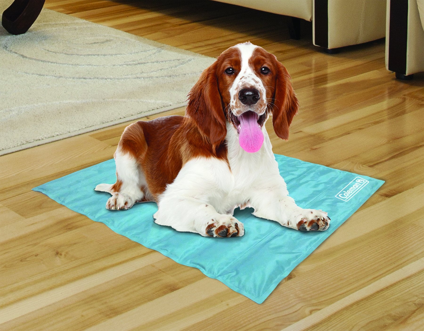 Coleman cooling mat discount