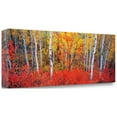 thumbnail image 2 of Tangletown Fine Art 'Changing Seasons' by Gary Crandall Photographic Print on Wrapped Canvas, 2 of 2