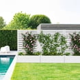 thumbnail image 5 of MAYEERTY Outdoor White PVC Rectangular Planter Box with Trellis for Climbing Plants, Raised Garden Bed, 5 of 13