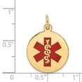 thumbnail image 2 of 14K Yellow Gold Charm Pendant Medical Alert Red 18.7 mm 16, 2 of 2