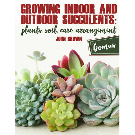 Growing Indoor and Outdoor Succulents : Plants, Soil, Care, (Best Indoor Weed Growing Kit)