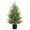 2 FT-Light, variant on Artificial Norfolk Pine Tree,3FT Christmas Tree Potted for Indoor Outdoor Home Front Porch Christmas Decor(35Inch)