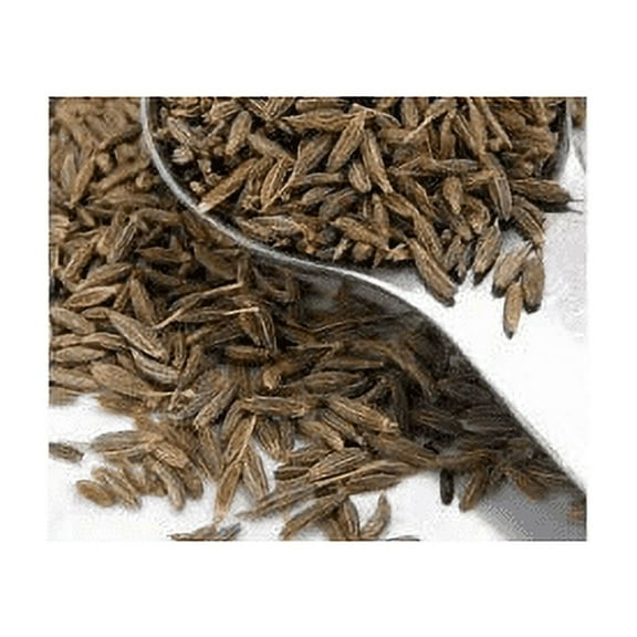 Cumin Great Garden Herb by Seed Kingdom Bulk 1 Lb Seeds