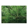 thumbnail image 1 of Green Cutting Board, Forest Moss Leaves Nature Themed Isolated Jungle Image Photo Print, Decorative Tempered Glass Cutting and Serving Board, Small Size, Forest Green Dark Brown, by Ambesonne, 1 of 1