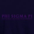 thumbnail image 3 of CafePress - Phi Sigma Pi Purple Wordmark Sweatshirt - Pullover Hoodie, Classic & Comfortable Hooded Sweatshirt, 3 of 4