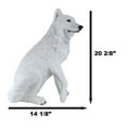 thumbnail image 3 of Ebros Gift 205” Sitting Alpha Albino White Wolf Garden Statue, Hand Painted, 3 of 10