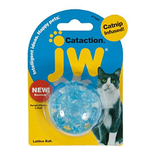cataction jw