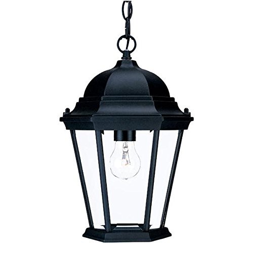 Acclaim 5206BK Richmond Collection 1-Light Outdoor Light Fixture Hanging Lantern, Matte Black
