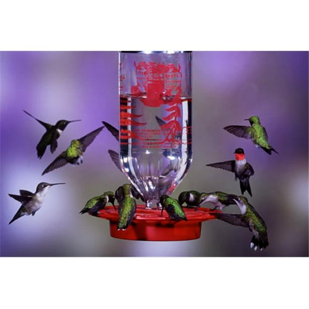 Best-1 BEST32 32 oz Original Hummingbird Feeder - Walmart.com - Walmart.com