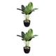 thumbnail image 1 of Cateissary Planta elegante de plástico fácil de limpiar, decoración para el hogar, plantas artificiales, plantas falsas, Canna + maceta Canna+maceta 2Conjunto, 1 of 6