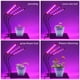 thumbnail image 2 of Lámpara para Plantas de Interior LED 36W Lámpara de Crecimiento para Cultivo de Plantas y Flores, Luz de Planta para Crecimiento Plantas de Interior y Exterior(Tira) LYUMO Lámpara para Plantas de Interior LED 36W Lámpara de Crecimiento para Cultivo de Plantas y Flores, 2 of 6