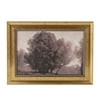Home Decor Collection Sterling & Noble Home Modern