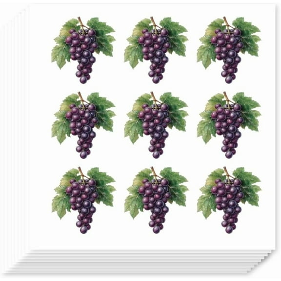 180Pcs Grapes Fruit Stickers Cute Grapes Paper Decals Self-Adhesive Label Stickers for Party Gift Favors Envelope Seals Goodie Bags Scrapbooking Craft Calendars Journals Album Multi-color