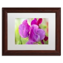 Trademark Fine Art 'Two Sweet Pea Flowers' Canvas Art by Cora Niele, White Matte, Wood Frame