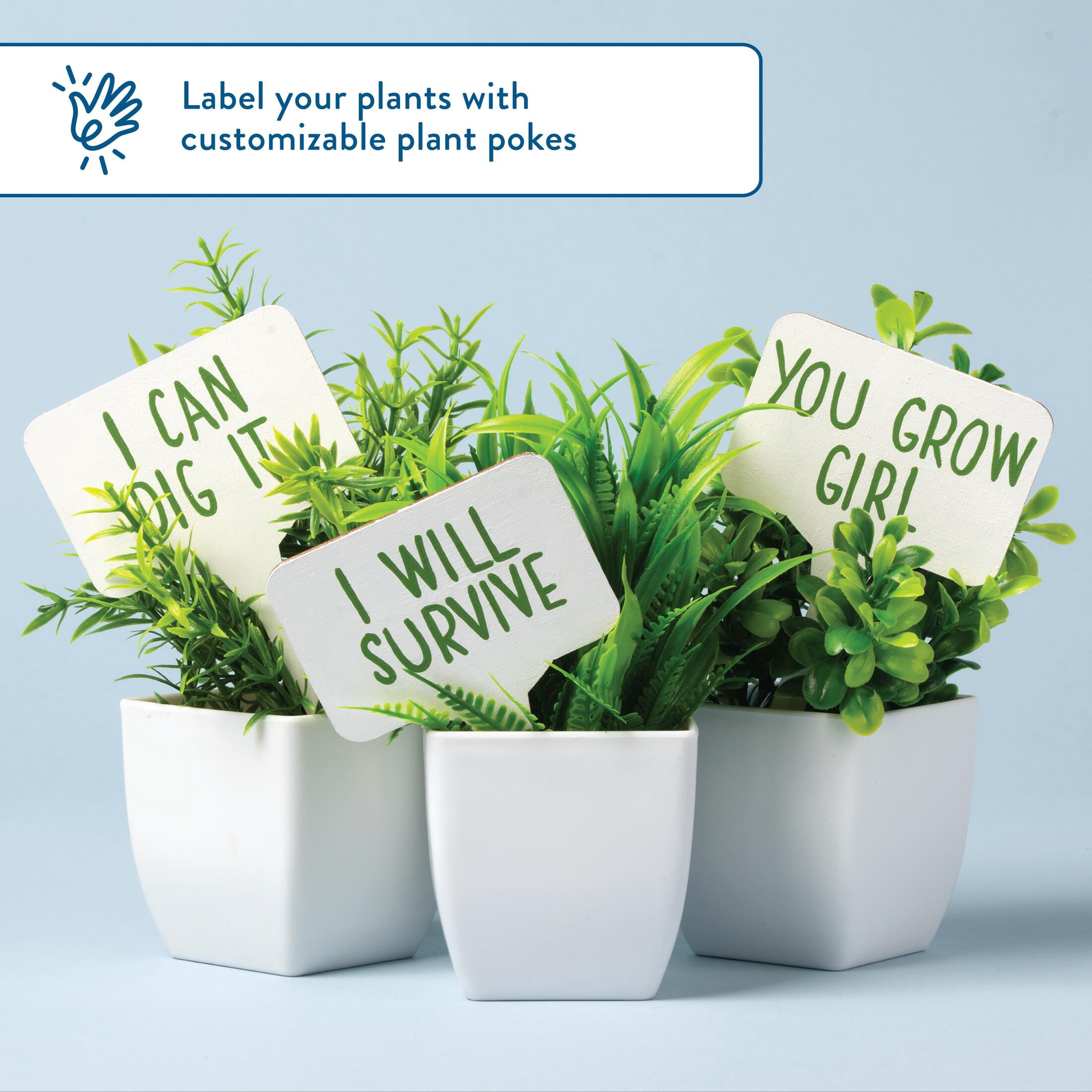 Hello Hobby Wood Plant Poke Set, Set of 12, 5" x 3" x .125"