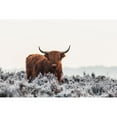 thumbnail image 3 of Van Den, Jaap 14x11 Black Modern Framed Museum Art Print Titled - Highlander, 3 of 5