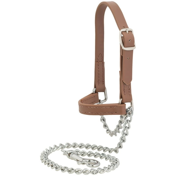 Weaver Leather Livestock Brahma Webb Goat Halter , Brown, Small