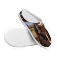 thumbnail image 3 of Lsque Cute Daisy Cow Pattern Womens Comfort Cotton on Scuff With Memory Foam and Anti-skid Sole Slipper-37/38, 3 of 7