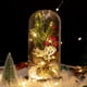 thumbnail image 3 of Rawiri Cúpula de cristal Plantas navideñas Decoraciones navideñas Cúpula de cristal Rama de pino navideña con luces, 3 of 5