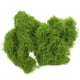 thumbnail image 1 of 1 bolsa de musgo artificial para manualidades, musgo falso, planta en maceta, musgo falso, maceta de interior, musgo falso, 1 of 7