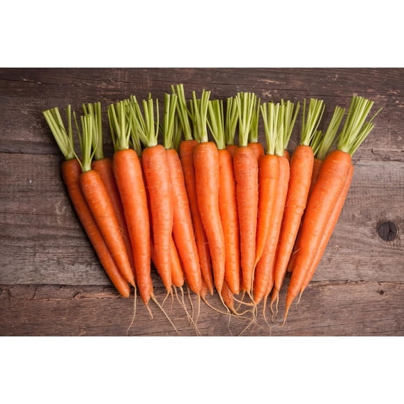 GSDWIUEW 5000+ Carrot Seeds High Germination Rate Vegetable Seeds Heirloom Carrot Seeds for Planting Home Outdoor Garden