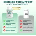 thumbnail image 6 of Vital Liver Support – Daily Liver Wellness Supplement – 9-in-1 Plant-Based Formula with Milk Thistle – Supports Liver Health, 6 of 8