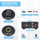 thumbnail image 2 of Amplificador de subwoofer Fosi Audio TP-02 TDA7498E 220W, 2 of 9